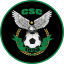 النادي القسنطيني
